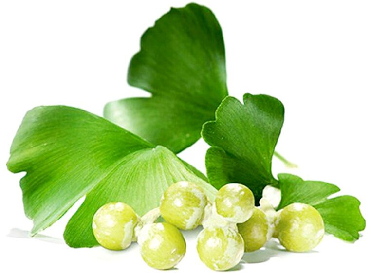 As follas de Ginkgo biloba melloran a circulación sanguínea nos tecidos do pene